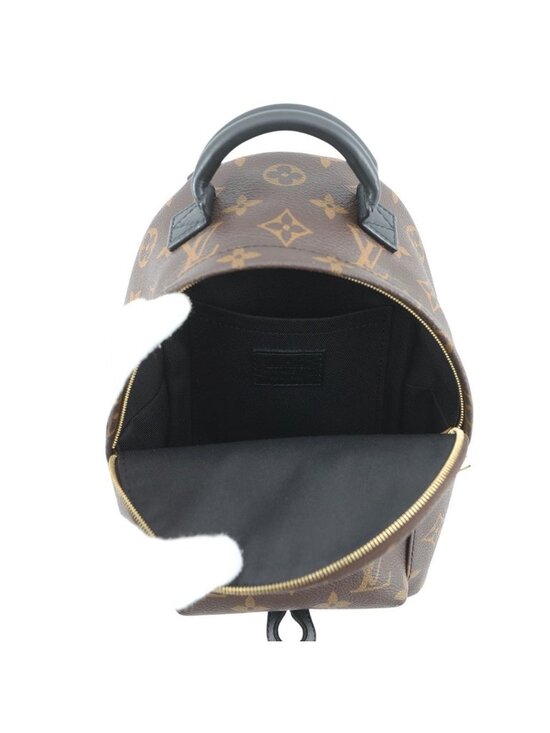 Louis Vuitton Backpack Monogram Palm Springs Mini main image 8